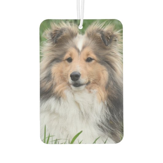 Custom Photo Dog Pet Memorial Foto Luchtverfrisser (Achterkant)