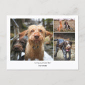 Custom Photo Family Pets Quotes & Funny Sayings Briefkaart (Voorkant)