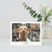 Custom Photo Family Pets Quotes & Funny Sayings Briefkaart (Staand voorkant)