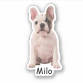 Custom photo French bulldog puppy Sticker (Voorkant)