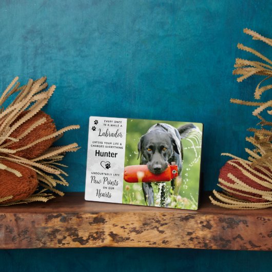 Custom Photo Labrador Retriever Memorial Fotoplaat (Zijkant)