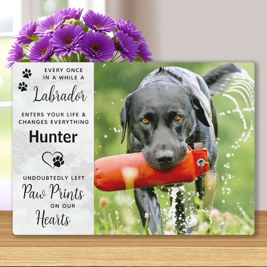 Custom Photo Labrador Retriever Memorial Fotoplaat