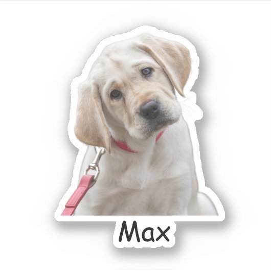 Custom photo Labrador Retriever puppy Sticker (Voorkant)