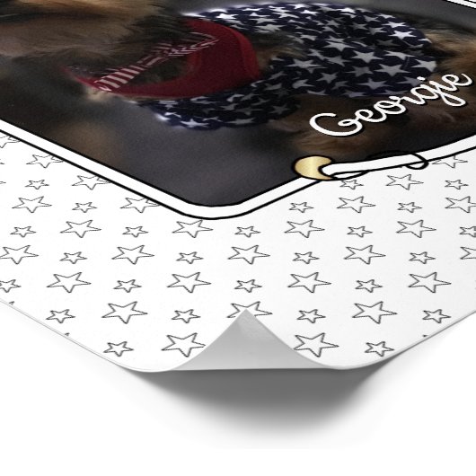 Custom Photo Lijst USA American Flag Patriotic Fun Poster (Hoek)