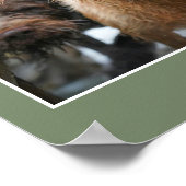  Custom Photo Pets Family Quotes & Funny Sayings Poster (Hoek)