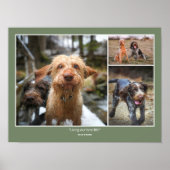  Custom Photo Pets Family Quotes & Funny Sayings Poster (Voorkant)