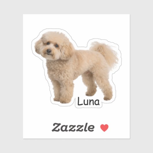 Custom photo Poodle puppy Sticker (Vel)