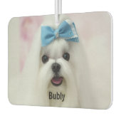 Custom Photo Text Logo Personalized Branding Luchtverfrisser (Links)