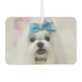 Custom Photo Text Logo Personalized Branding Luchtverfrisser