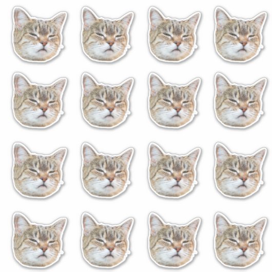 Custom Photo Waterproof Vinyl  Sticker (Voorkant)