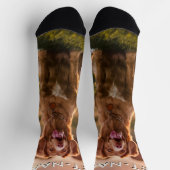 Custom Photo With Your Pet Dog Name Picture On Sokken (Top)