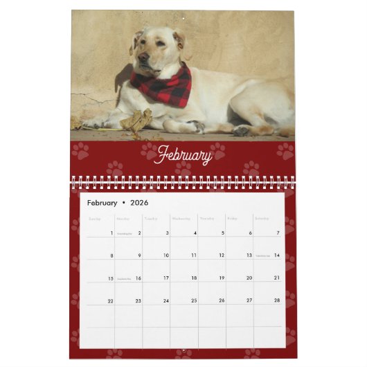 Custom Photos Modern Pet Lovers Dog Calendar Kalender (Feb 2026)