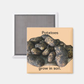 Custom Potato Magnets, harvested Magneet (Voorkant / Achterkant)