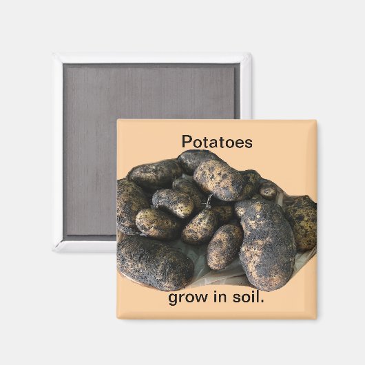 Custom Potato Magnets, harvested Magneet (Voorkant / Achterkant)