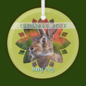 Custom Rabbit Photo on Yellow Green Glas Ornament