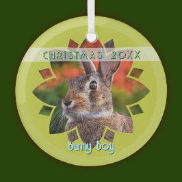 Custom Rabbit Photo on Yellow Green Glas Ornament