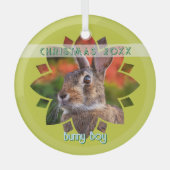 Custom Rabbit Photo on Yellow Green Glas Ornament (Voorkant)