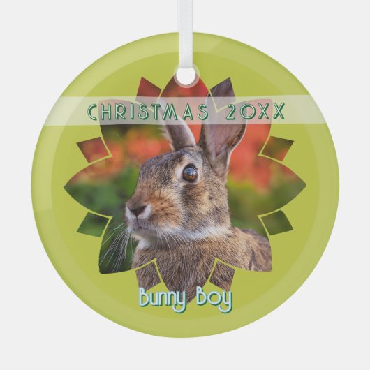 Custom Rabbit Photo on Yellow Green Glas Ornament (Voorkant)