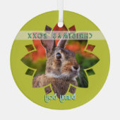 Custom Rabbit Photo on Yellow Green Glas Ornament (Achterkant)