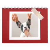 Custom Red Pet Photo Kalender (Hoes)