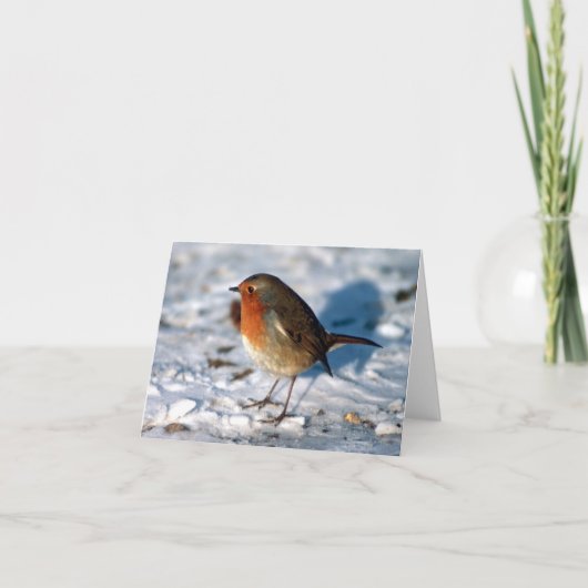 Custom Robin in de sneeuw Feestdagen Kaart (Voorkant)