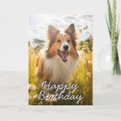 Custom Shetland Sheepdog Verjaardag Kaart (Voorkant)