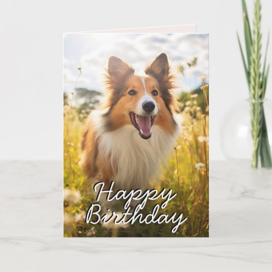 Custom Shetland Sheepdog Verjaardag Kaart (Voorkant)