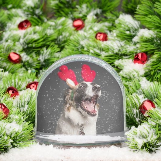 Custom Snow Globe with Your Dog’s Photo Sneeuwbol (Kerstmis)