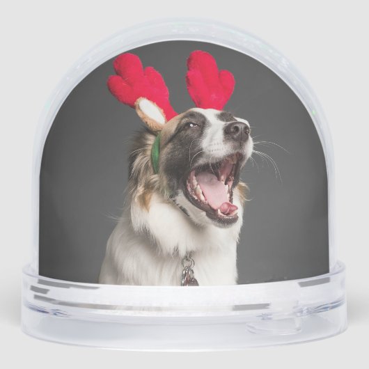 Custom Snow Globe with Your Dog’s Photo Sneeuwbol (Achterkant)