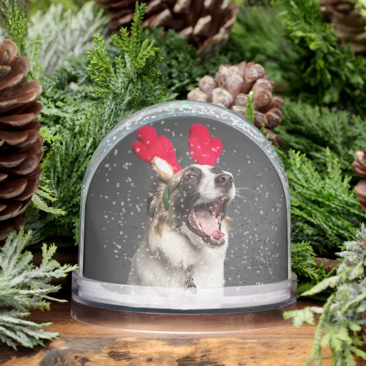 Custom Snow Globe with Your Dog’s Photo Sneeuwbol (Winter)