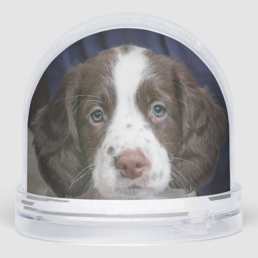 Custom Spaniel Puppy Dog Foto Sneeuwbol (Achterkant)