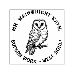 Custom Teacher Barn Owl Stamp – Schattige "Superb Zelfinktende Stempel