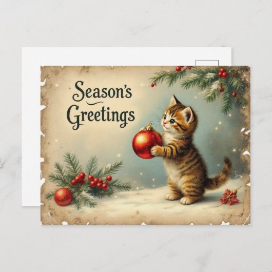 Custom Text Season’s Greetings Kitten Postcard Feestdagenkaart (Voorkant / Achterkant)