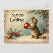 Custom Text Season’s Greetings Kitten Postcard Feestdagenkaart (Voorkant)