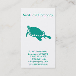Custom Turtle Company Visitekaartje