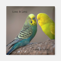 Custom Twee Parrot afbeelding met tekst Loving Mag