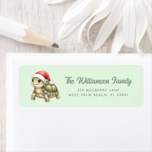 Custom Watercolor Christmas Tortoise Santa Hat Etiket (Insitu)