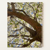 Custom White Blossom Branches Tree Crown Photo - Planner (Achterkant)