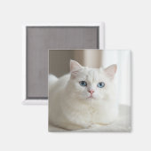 Custom white cat photo magnet for fridge (Voorkant / Achterkant)