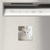 Custom white cat photo magnet for fridge (Insitu (Vaatwasser))