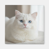 Custom white cat photo magnet for fridge (Voorkant)