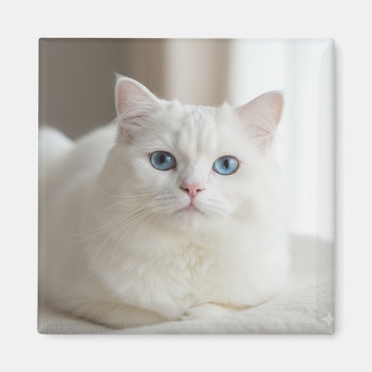 Custom white cat photo magnet for fridge (Voorkant)