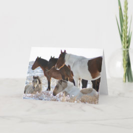 CUSTOM WILDE PAARDEN VAN UTAH PINTOS IN SNEEUW KAA FEESTDAGEN KAART
