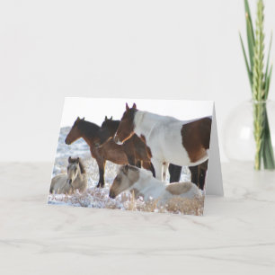 CUSTOM WILDE PAARDEN VAN UTAH PINTOS IN SNEEUW KAA FEESTDAGEN KAART