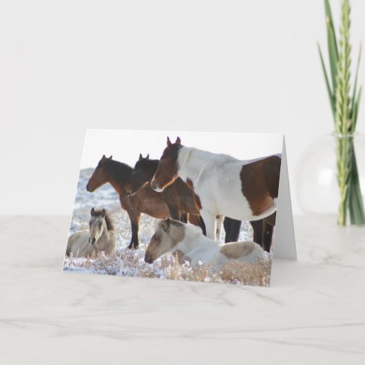 CUSTOM WILDE PAARDEN VAN UTAH PINTOS IN SNEEUW KAA FEESTDAGEN KAART (Voorkant)