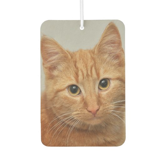 CUSTOM YOUR CAT PHOTO AIR FRESHENER LUCHTVERFRISSER (Voorkant)