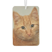 CUSTOM YOUR CAT PHOTO AIR FRESHENER LUCHTVERFRISSER (Achterkant)