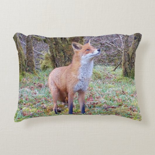 Customisable Red Fox Looking Up Cushion Accent Kussen (Voorkant)