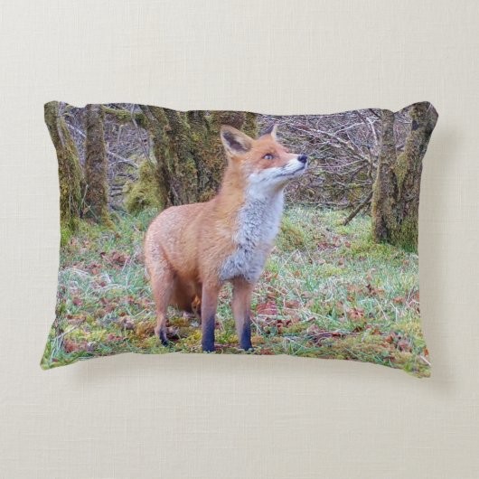 Customisable Red Fox Looking Up Cushion Accent Kussen (Achterkant)