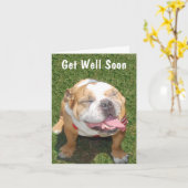 Customizable Bull Dog Get Well Card Kaart (Gele Bloem)
